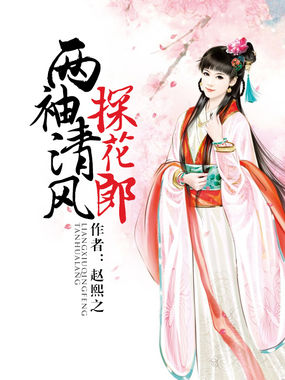 两袖清风探花郎全文阅读