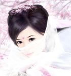 倾衣无爱