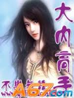 《大内高手》txt全文阅读